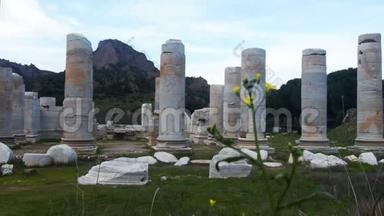 阿尔忒弥斯神庙位于土耳其萨里希里马尼萨的Sardes Lydia古历史古城